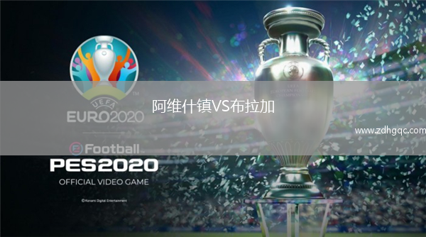 阿维什镇VS布拉加