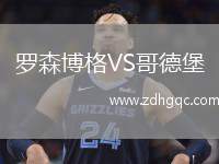 罗森博格VS哥德堡