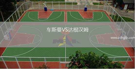 车斯曼VS达根汉姆