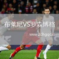布莱尼VS罗森博格