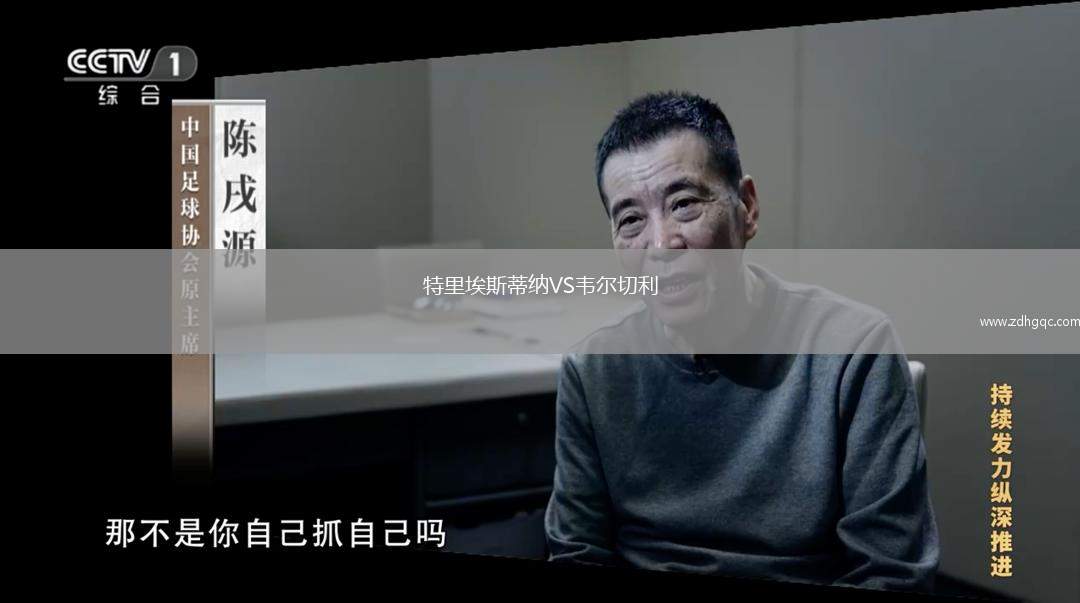 特里埃斯蒂纳VS韦尔切利