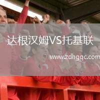 达根汉姆VS托基联