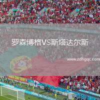 罗森博格VS斯塔达尔斯
